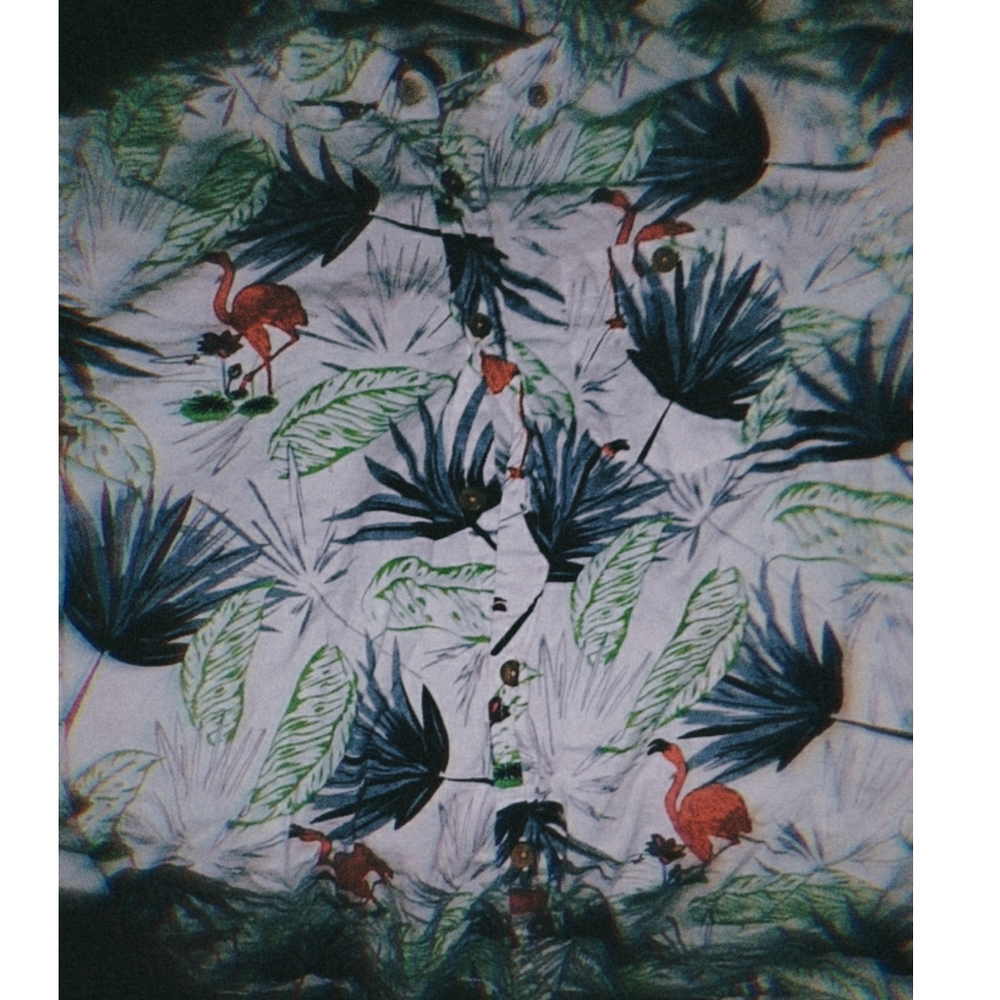 Flamingo button up bundle - Picture 3 of 8